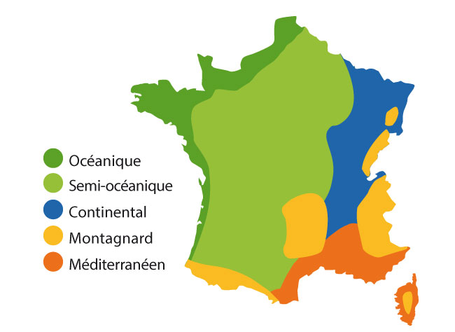 Potager : calendrier des semis par région et par climat