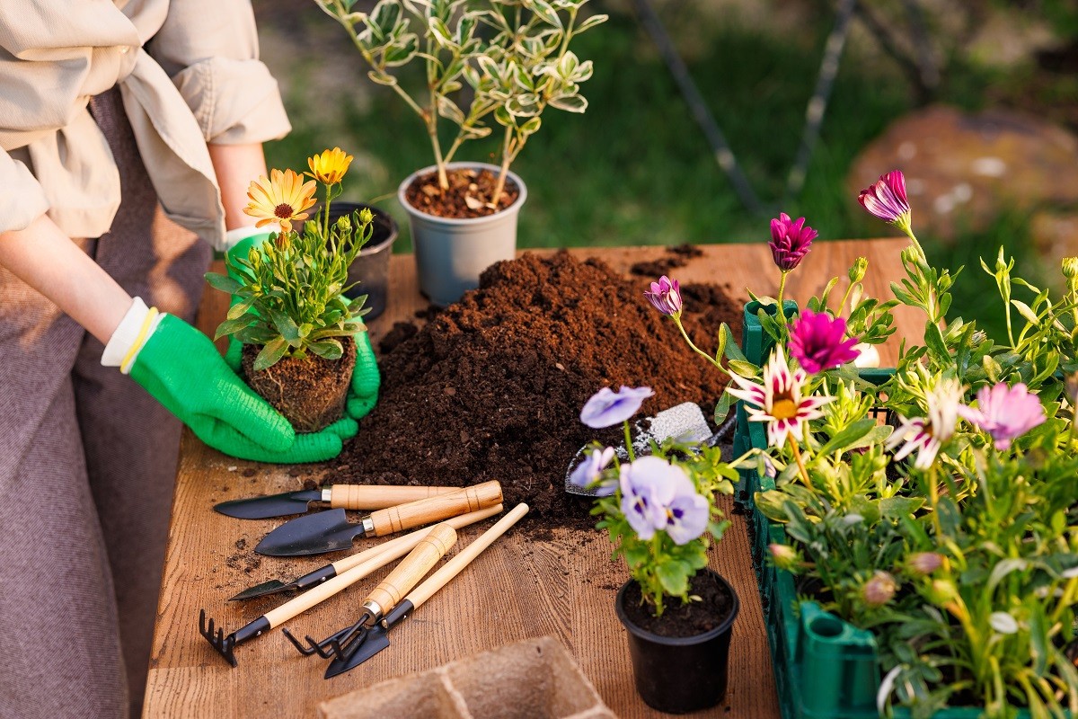 Transformez votre jardin les jours fériés : 4 projets inspirants !