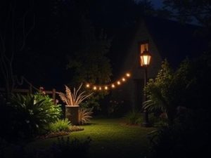 Pourquoi vous devriez espérer ce visiteur mystérieux la nuit