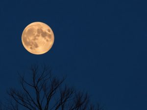 La pleine Lune de castor : un rendez-vous céleste
