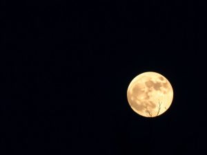 Cold Moon du 4 décembre : la Super Lune la plus brillante avant 2042