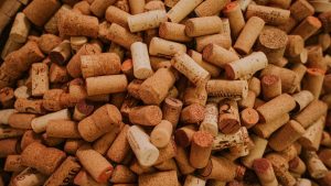 Bouchons de liège : comment les utiliser pour favoriser la santé de vos plantes ?