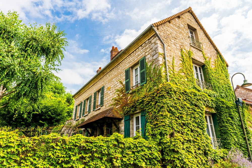Comment empêcher le lierre d’envahir les murs de la maison ?