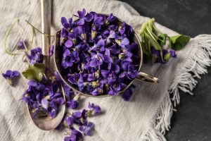 Les violettes en cuisine : douceurs, sirops et gourmandises fleuries