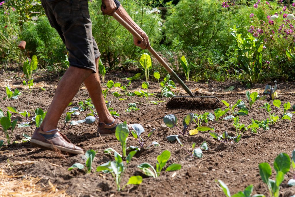 Pourquoi la terre semble “fatiguée” au printemps