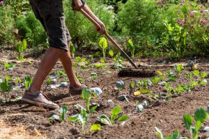 Pourquoi la terre semble “fatiguée” au printemps