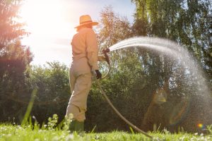 Pourquoi l’urine humaine intéresse de nouveau les jardiniers en 2026