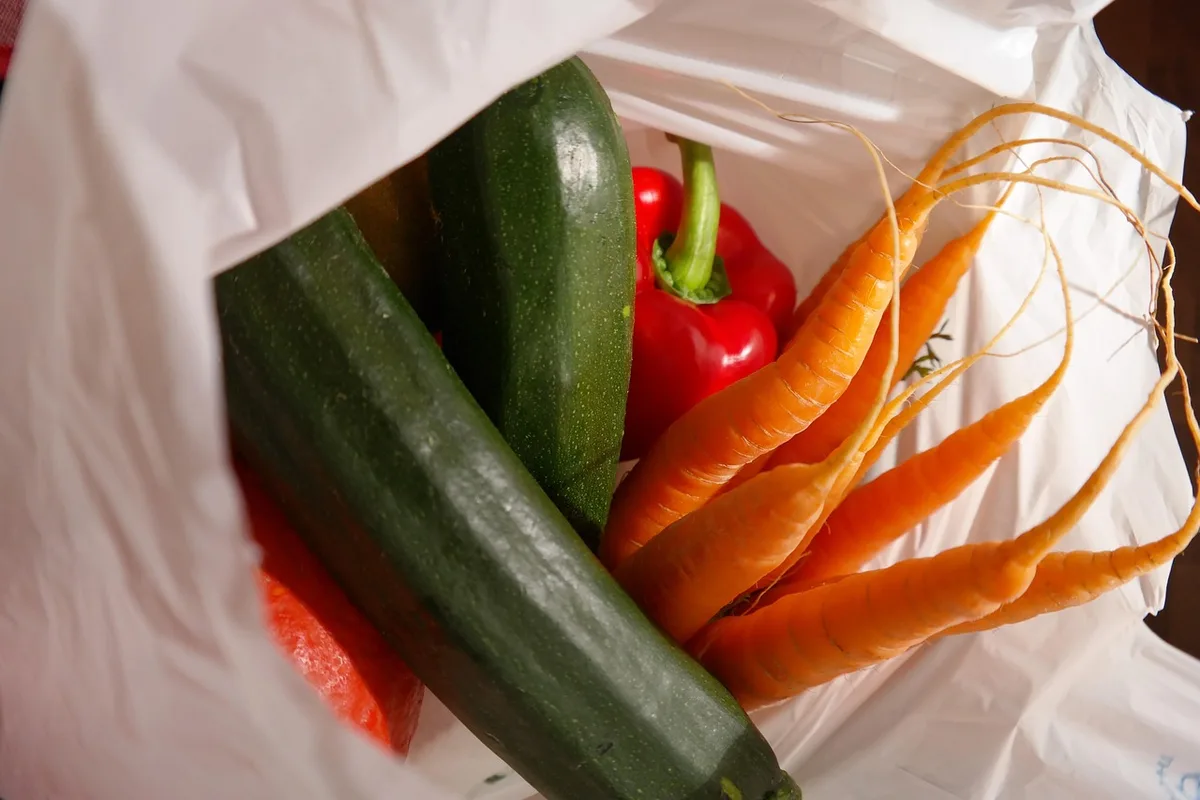 Godets avec sac plastique formant une mini-serre au-dessus des boutures