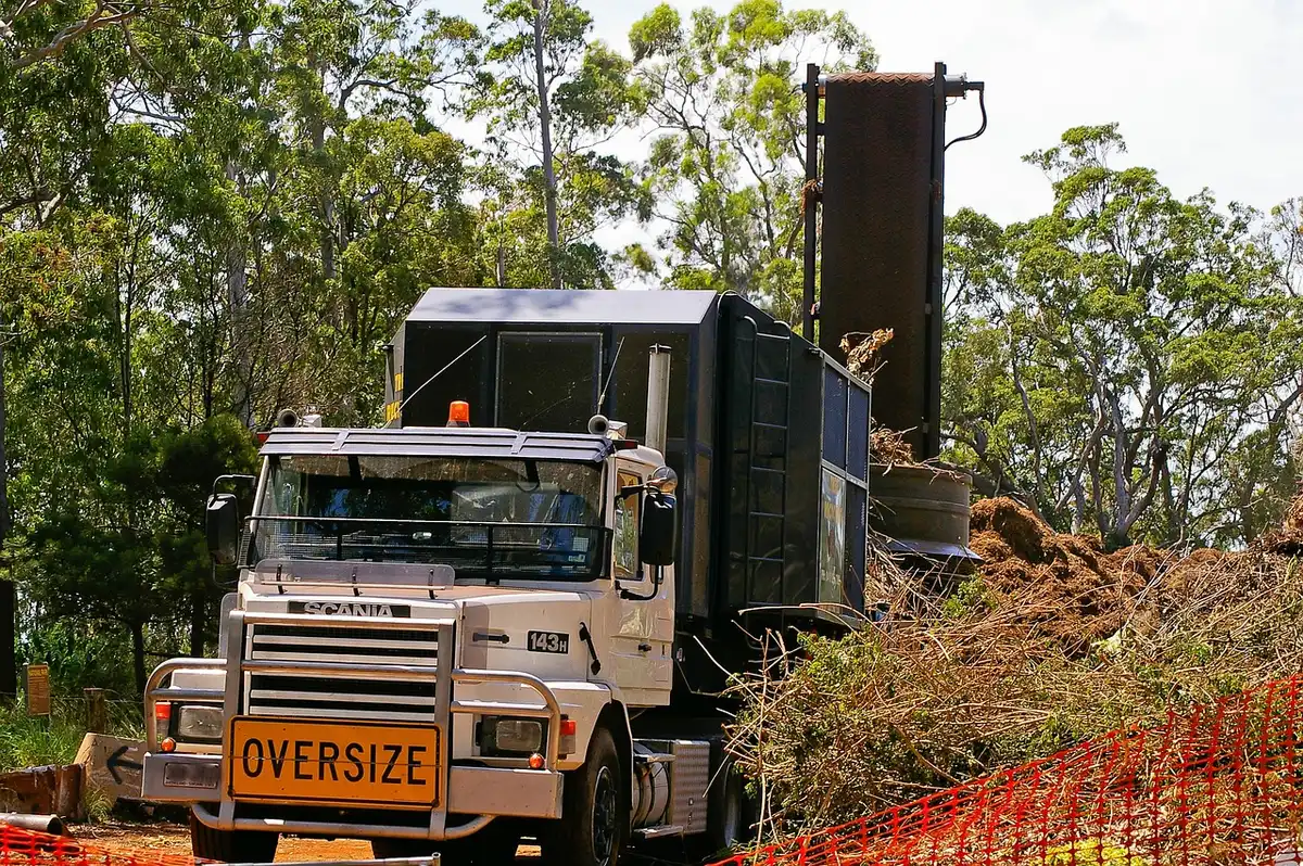 Voile d'ombrage installé au-dessus d'un arbre et paillage au pied